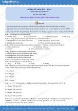 Đề thi giữa kì I KHTN 8 Cánh diều - Đề số 3